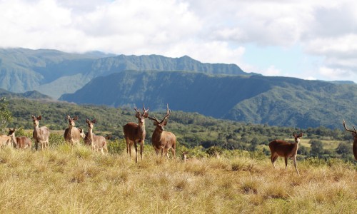 Diana Dea Lodge & Spa